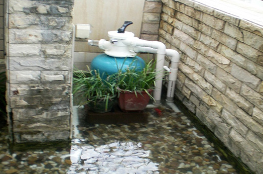 新型魚池過濾系統