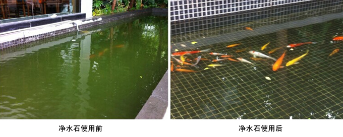 凈水死促進硝化系統